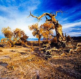 《戴森球计划》新内容春节上线 下次大版本更新还在开发中